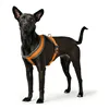 Dog Harness Hunter London Comfort Orange S/M 52-62 cm