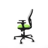 Office Chair Piqueras y Crespo 3D036G0 Pistachio