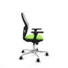 Office Chair Piqueras y Crespo 3D086N0 Pistachio