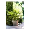 Plant pot EDA Tuscan Taupe Plastic Squared Ø 50 cm (49,5 x 49,5 x 52,5 cm)