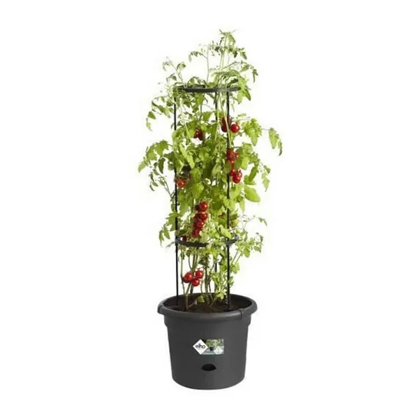 Plant pot Elho Basics Tomato Black (Ø 33 cm)