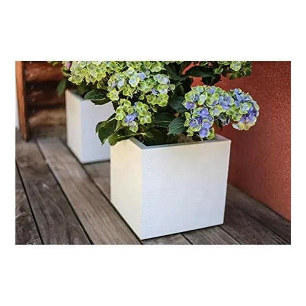 Plant pot EDA White Plastic 5 cm