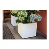 Plant pot EDA White Plastic 5 cm