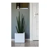 Plant pot EDA White Plastic 5 cm