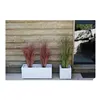 Plant pot EDA White Plastic 5 cm