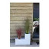 Plant pot EDA White Plastic 5 cm