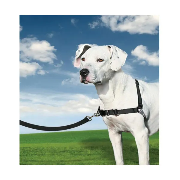 Pet Harness PetSafe Easy Walk Black Medianav (M)