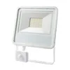 Floodlight/Projector Light EDM 50 W 3500 lm 6400K