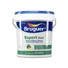 Paint Bruguer Expert 5208090 15 L