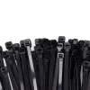 Nylon Cable Ties EDM 250 x 4,8 mm Black 100 Units