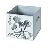 Folding screen Domopak Living Mickey Cloth (32 x 32 x 32 cm)