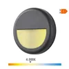 LED Wall Light EDM 6 W 70 Lm (4000 K)