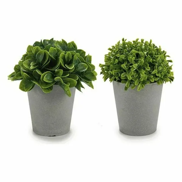 Decorative Plant Plastic 13 x 17 x 13 cm (12 Units)