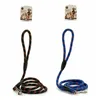 Dog Lead Stripes 120 cm