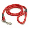 Dog Lead Stripes 120 cm