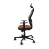 Офисный стул с изголовьем Jorquera Piqueras y Crespo 1D036G1 Коричневый Серый