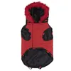 Dog Coat Minnie Mouse Black Red S