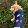 Dog coat Marvel Blue S