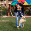 Koeramantel Marvel Blue S | Osta veebist — Megaluks