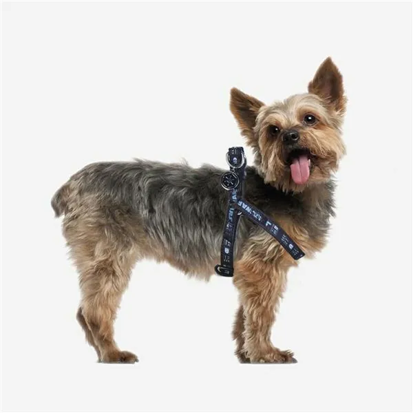 Dog Harness Star Wars Black M/L