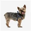 Dog Harness Star Wars Black M/L