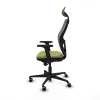 Office Chair with Headrest Piqueras y Crespo 2D036G1 Green