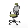 Office Chair with Headrest Piqueras y Crespo 2D036N2 Green