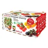 Cultivation Set Batlle Fresh Tomatoes 30 x 19,5 x 16,2 cm