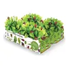 Cultivation Set Batlle Baby Leaves Salads 40 x 29 x 10,5 cm 2,6 Kg