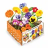 Cultivation Set Batlle Flowers Edible 19 x 19 x 10 cm