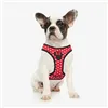 Dog Harness Minnie Mouse XXS/XS Red