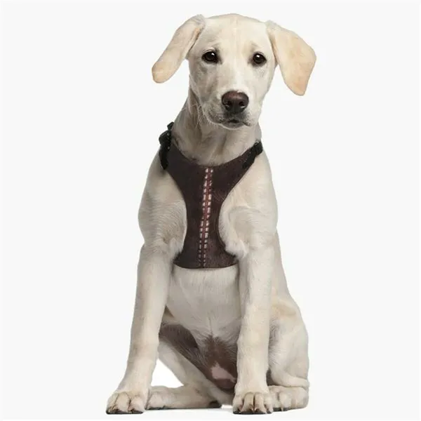 Dog Harness Star Wars Brown