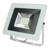 Floodlight/Projector Light EDM 6400 K 30 W