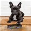 Dog Lead Marvel Black S