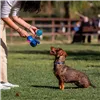 Dog toy Stitch Blue