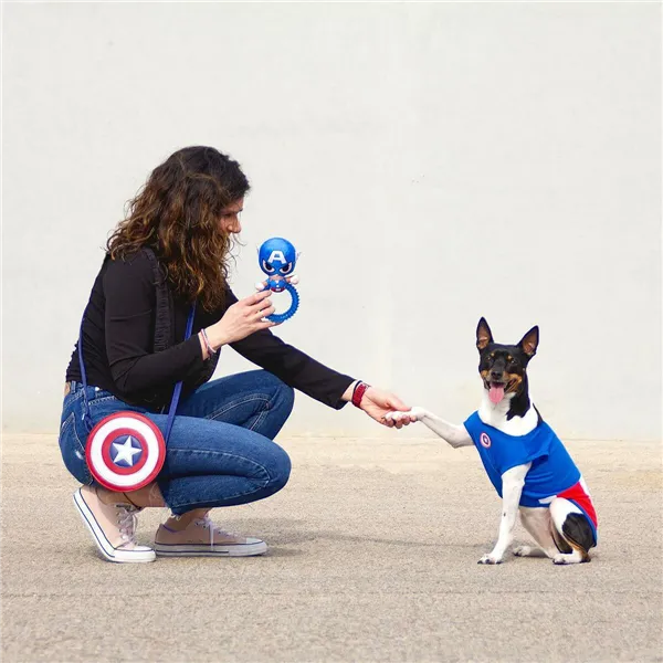 Dog toy The Avengers   Blue 100 % polyester