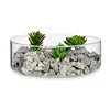 Decorative Stones 3 Kg Light grey (4 Units)