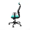 Office Chair Piqueras y Crespo 1D036G1 Turquoise