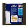 Varnish Bruguer 5057500 750 ml Finishing polish