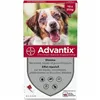 Pipette for Dogs Advantix 10-25 Kg