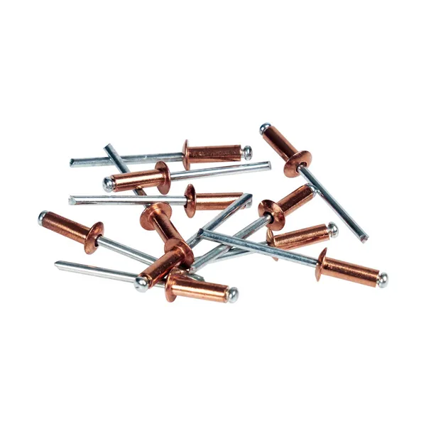 Rivets Rapid 5001462 Spindle Ø 4 x 10 mm Copper Aluminium (50 Units)