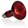 Lamp Exo Terra Basking Spot Infrared 75 W