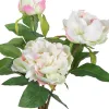 Decorative Plant 24 x 20 x 38 cm Cream Peony