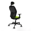 Office Chair Piqueras y Crespo 1D036G1 Pistachio