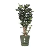 Plant pot Elho Greenville Ø 39 x 36,8 cm Green