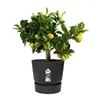 Plant pot Elho Greenville Black Plastic Circular Ø 30 cm Ø 29,5 x 27,8 cm