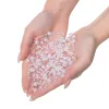 Pearl Garland Springos CA0210, White, Length 5 m | Buy online — Megaluks