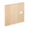 Door Astigarraga Dinamic 36,2 x 32,5 x 1,6 cm Shelves Pinewood