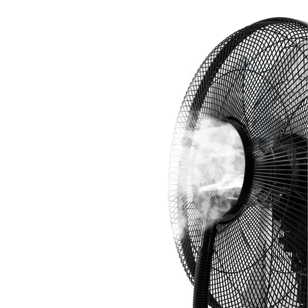 Pedestal Misting Fan Grunkel FAN-G16 NEBUPRO Black 75 W