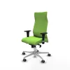 Office Chair Piqueras y Crespo B1C086G Pistachio